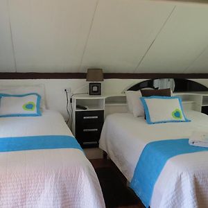 Double Room Two Beds
